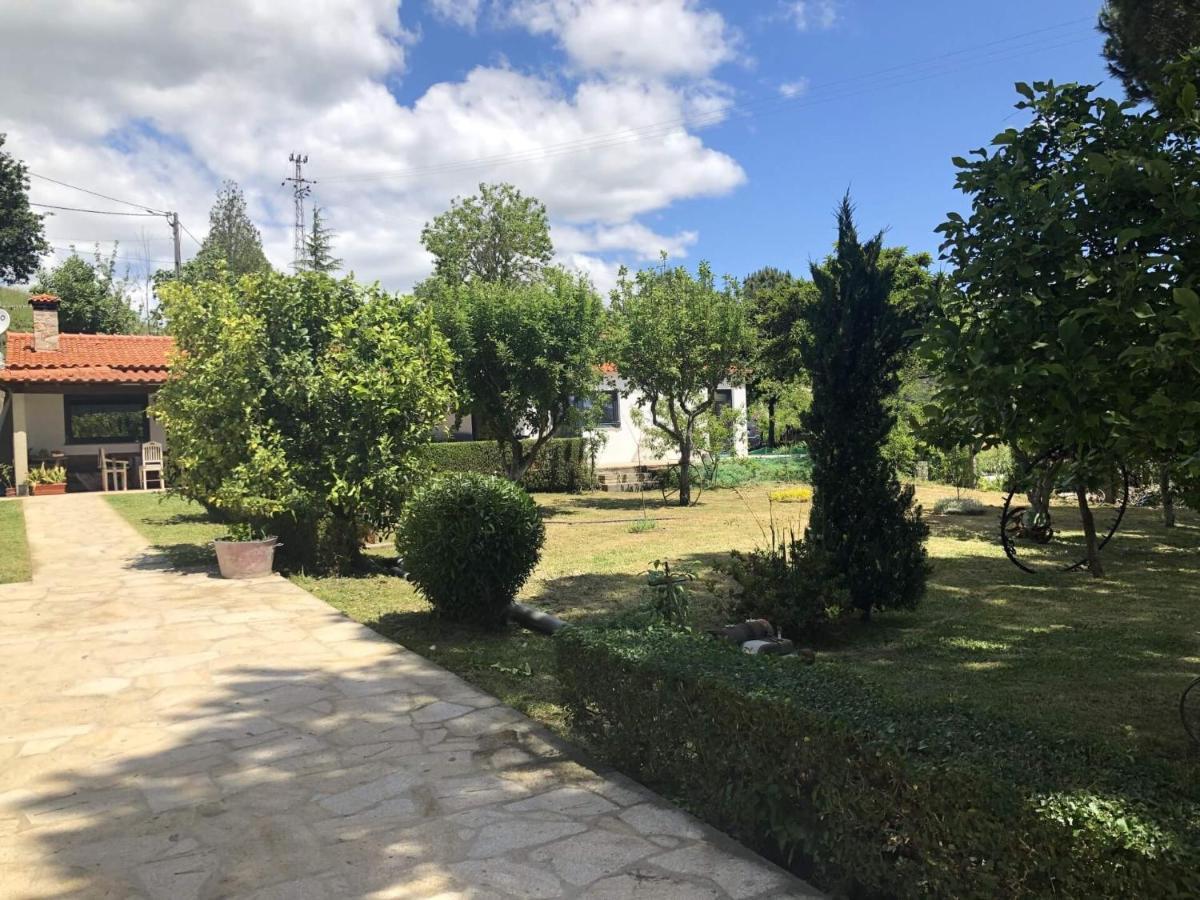Casas Viriatus - Turismo Rural Paredes de Coura Esterno foto